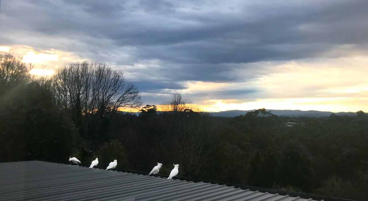 Monbulk Beautiful View Houseヴィラ エクステリア 写真